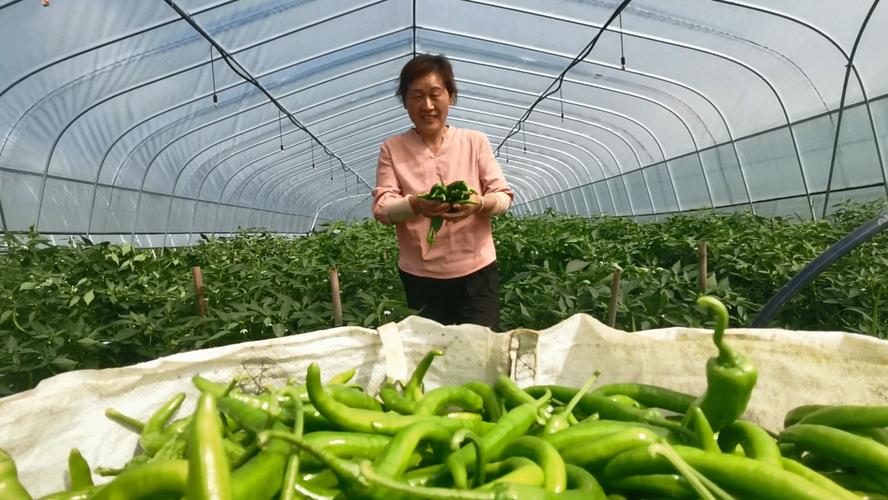 宜春:争创富硒绿色有机农产品示范市-绿色农业-江西农业杂志社