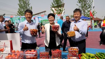 漯河召陵区新大徐第十二届西瓜采摘文化节开幕