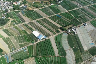 “乡”“土”科技赋能施甸乡村振兴