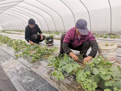 贵池秋江街道:产业高质量发展赋能乡村振兴|中安在线池州频道|贵 池